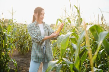 Agriculture concept. Farmer woman in corn field works. Business Farm.