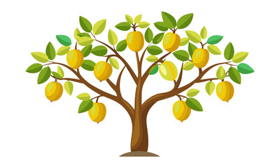 Download Delicious Marula Fruit Tree Vector Art Illustration . This Design Concept Isolated Premium Vector. 