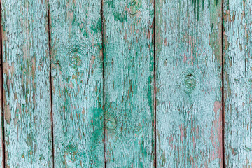 Fragment of old wood weathered fence painted in green color. The paint on the wall had become crumbly over the years and was peeling away.