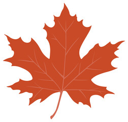 orange maple leaf without background