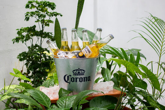 Corona extra beer sixpack on metal bucket whit crushed ice