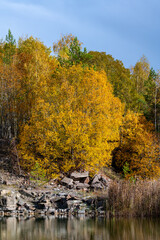 Autumn leaves reflecting on water in old quarry