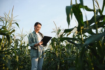 Agronomist farmer woman in corn field. female farm worker analyzing crop development