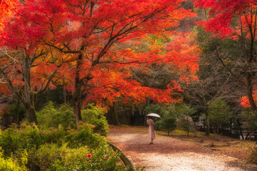 Soft focus of Young woman in autumn park among red trees 
