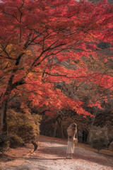 Soft focus of Young woman in autumn park among red trees 