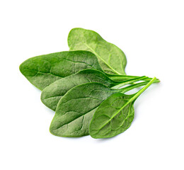 Spinach leaves on white backgrounds