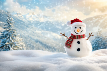Obraz premium snowman on the snow