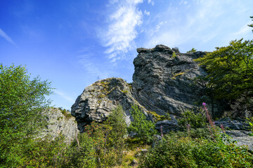 Landscape near Bruchhauser Steine ​​in the Sauerland near Olsberg. Nature at Istenberg on the Rothaargebirge.
