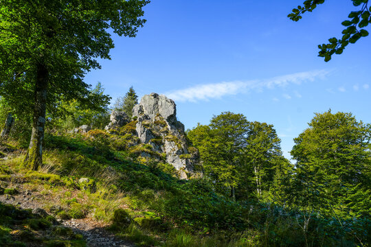 Landscape near Bruchhauser Steine ​​at Istenberg in the Rothaar Mountains. Hiking trails in the Sauerland.
