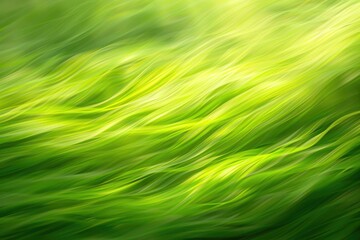 Obraz premium Abstract green nature background with blurred effect.