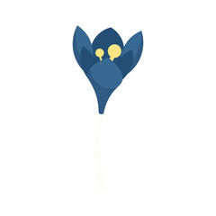 Winter Flower Vector Illustration - 08