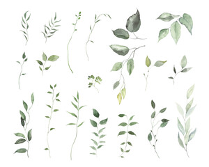 Set of delicate green abstract branches, isolated watercolor illustration for invitation card, cover, frame or wallpapers. Hand drawn foliage collection.