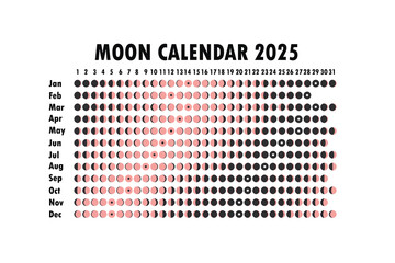 2025 Moon calendar. Astrological calendar design. planner. Place for stickers. Month cycle planner mockup. Isolated black and white background