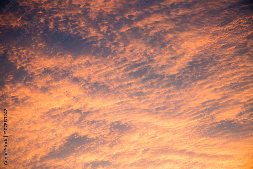 Poster extremely impressive clouds that reflect the pink light of the sunset and paint the structure of sky