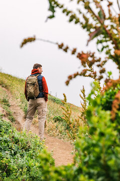 A hiker explores lush trails on a misty afternoon