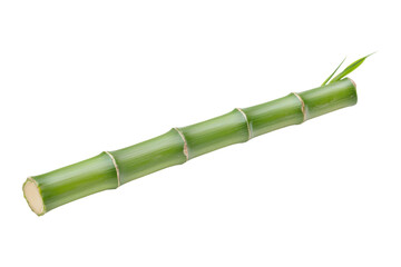 Fototapeta premium A single, green bamboo stalk with segmented nodes and a small shoot. Transparent background.