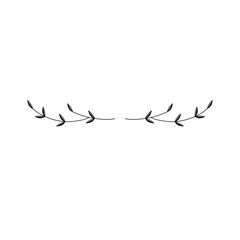 Divider Line Scribble Stroke Decorative Leaf