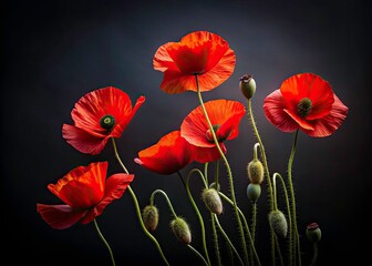 Obraz premium Elegant Minimalist Red Poppy Flowers on Black Background, Perfect for Floral Design, Home Decor, and Graphic Projects - Stunning Visual with Copy Space for Text