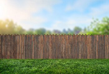 spring grass in backyard and wooden garden fence