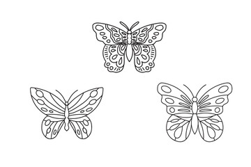 Butterfly lineart illustration for kids coloring book and learning project