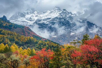 Colorful Autumn Trees Contrast With Majestic Snow-Capped Mountains Under a Cloudy Sky in a Serene Landscape