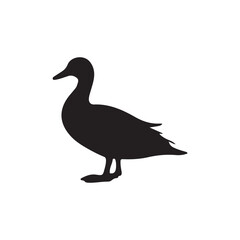 Duck icon. Duck black silhouette isolated on white background. Vector illustration, Domestic and wild ducks.