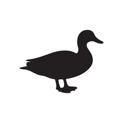 Duck icon. Duck black silhouette isolated on white background. Vector illustration, Domestic and wild ducks.