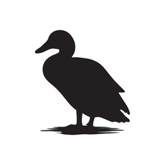 Duck icon. Duck black silhouette isolated on white background. Vector illustration, Domestic and wild ducks.