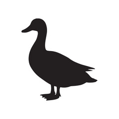 Duck icon. Duck black silhouette isolated on white background. Vector illustration, Domestic and wild ducks.