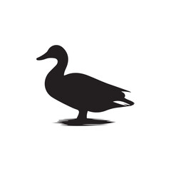 Duck icon. Duck black silhouette isolated on white background. Vector illustration, Domestic and wild ducks.