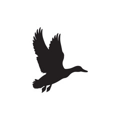 Obraz premium Duck icon. Duck black silhouette isolated on white background. Vector illustration, Domestic and wild ducks.