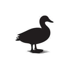 Duck icon. Duck black silhouette isolated on white background. Vector illustration, Domestic and wild ducks.