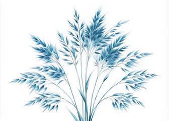 Obraz premium Elegant Blue Oat Grass Isolated on White Minimalist Botanical Illustration Capturing the Essence of Nature's Beauty in a Simple Yet Striking Presentation for Home Decor