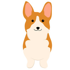 Corgi dog cartoon cute fit for educational purposes flashcard