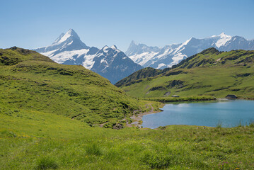 view from lake Bachalpsee to Schreckhorn and Finsteraarhorn mountain, Bernese alps.