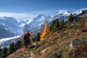 Fototapeta premium A man hiking in front of the famous Biancograt, near Morteratsch, in autumn.