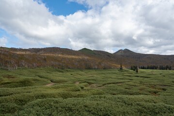 紅葉の始まった山の風景