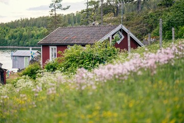 Charming red cottage near a serene lake