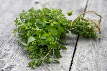 Fresh oregano on rustic wood