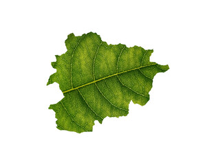Andorra map made of green leaves on White background ecology concept

