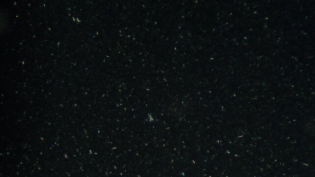 Shampoo under microscope with abrasive particles, microplastics