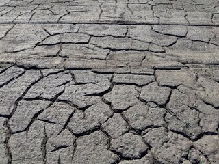 晩秋のひび割れた黒い畑風景