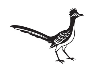Greater Roadrunner  silhouette  vector bundle illustration, Greater Roadrunner  silhouette 