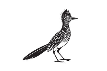 Greater Roadrunner  silhouette  vector bundle illustration, Greater Roadrunner  silhouette 