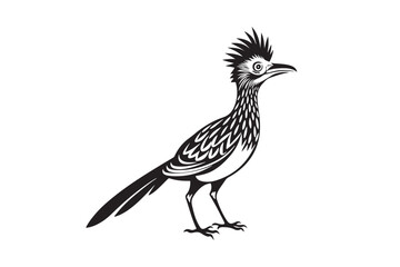 Greater Roadrunner  silhouette  vector bundle illustration, Greater Roadrunner  silhouette 