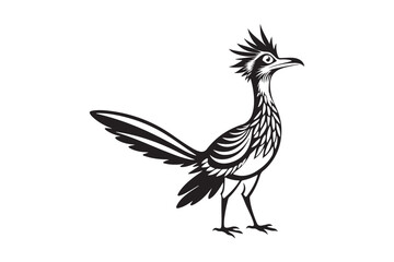 Greater Roadrunner  silhouette  vector bundle illustration, Greater Roadrunner  silhouette 