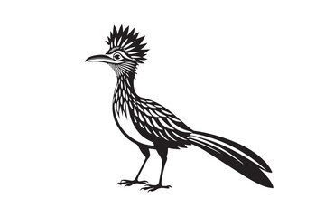 Greater Roadrunner  silhouette  vector bundle illustration, Greater Roadrunner  silhouette 