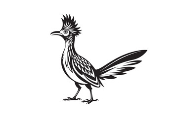 Greater Roadrunner  silhouette  vector bundle illustration, Greater Roadrunner  silhouette 