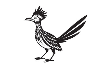 Greater Roadrunner  silhouette  vector bundle illustration, Greater Roadrunner  silhouette 