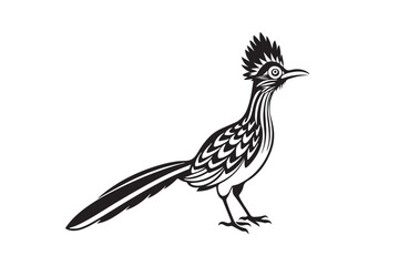 Greater Roadrunner  silhouette  vector bundle illustration, Greater Roadrunner  silhouette 